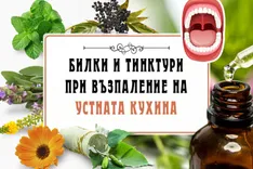 Билки и тинктури при възпаление на устната кухина- bilkovitinkturi.bg