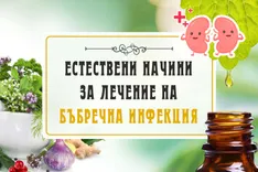 Естествени начини за лечение на бъбречна инфекция- bilkovitinkturi.bg