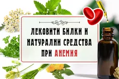 Лековити билки и натурални средства при анемия- bilkovitinkturi.bg