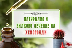 Натурално и билково лечение на хемороиди- bilkovitinkturi.bg