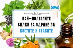 Най-полезните билки за здраве на костите и ставите- bilkovitinkturi.bg