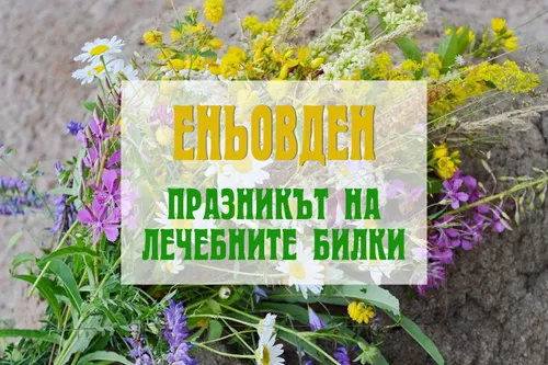 Еньовден - празникът на лечебните билки