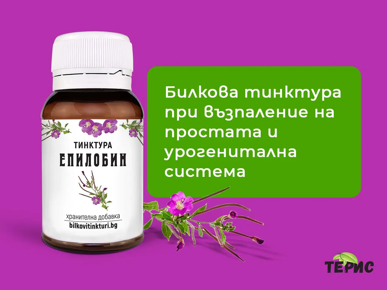 Билкова тинктура при възпаление на простата и урогенитална система