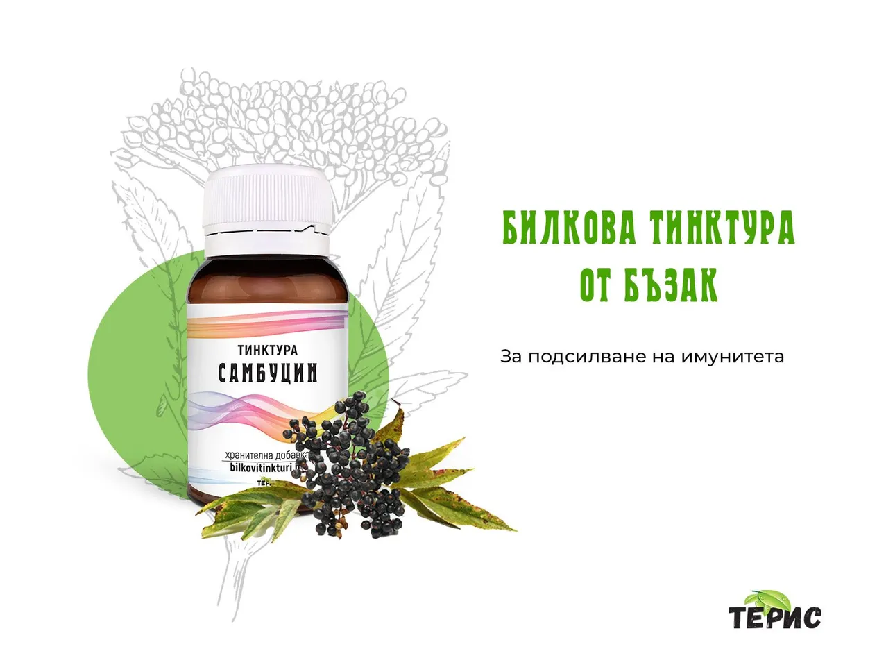 Билкова тинктура Самбуцин за имунитета