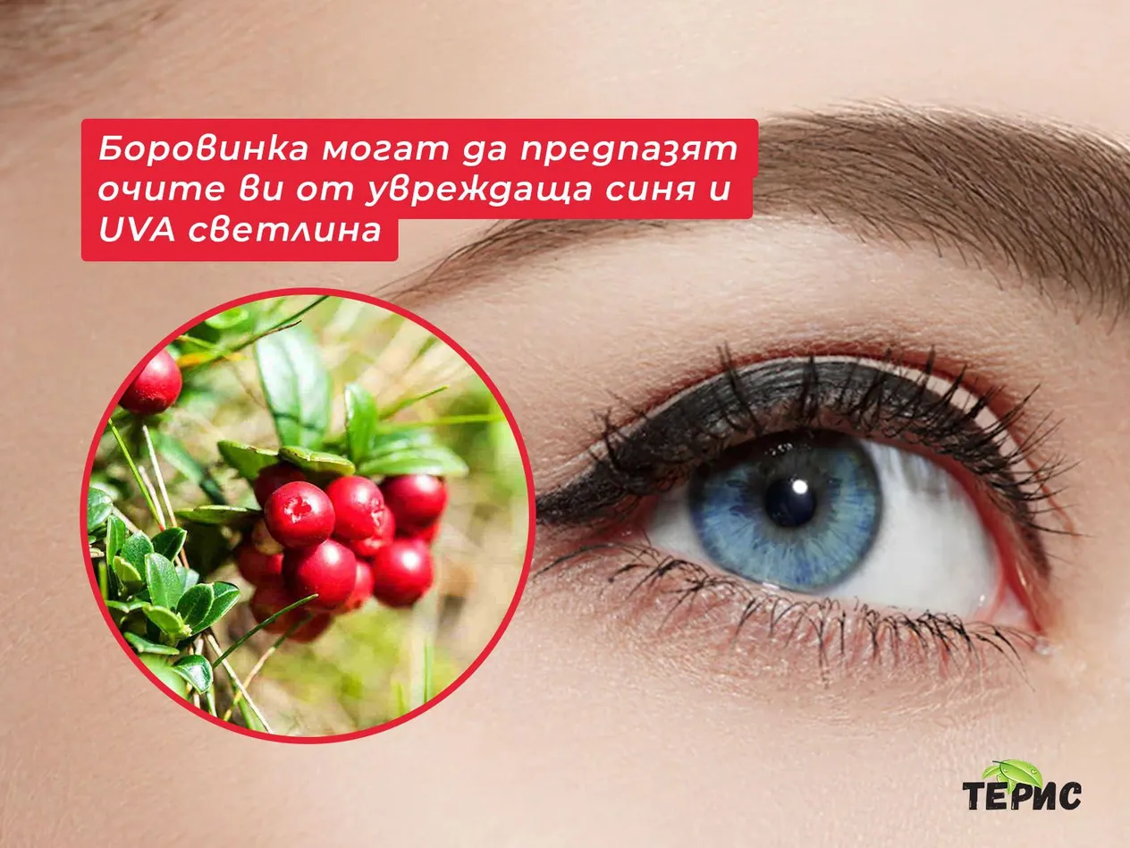 Боровинките могат да предпазят очите ви от увреждаща синя и UVA светлина