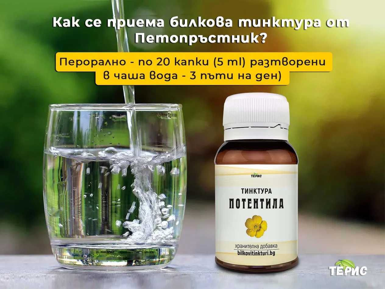 Как се приема билкова тинктура от Петопръстник?