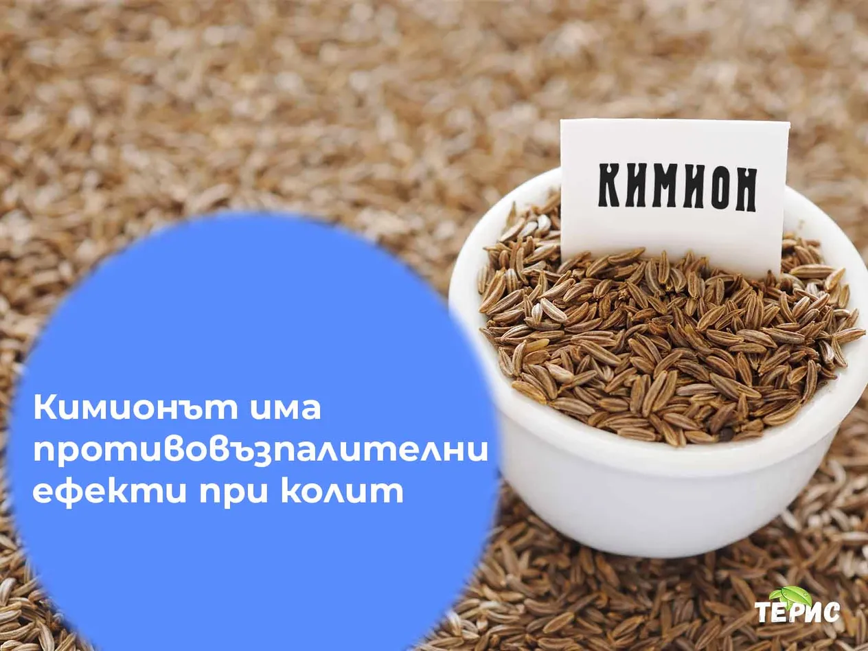 Кимионът има противовъзпалителни ефекти при колит