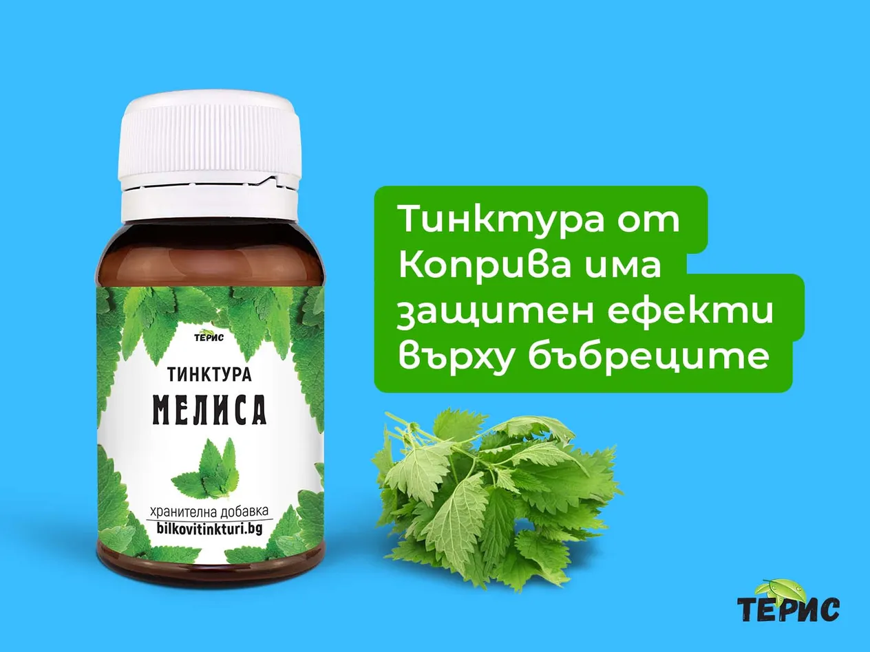 Тинктура от Коприва има защитен ефекти върху бъбреците