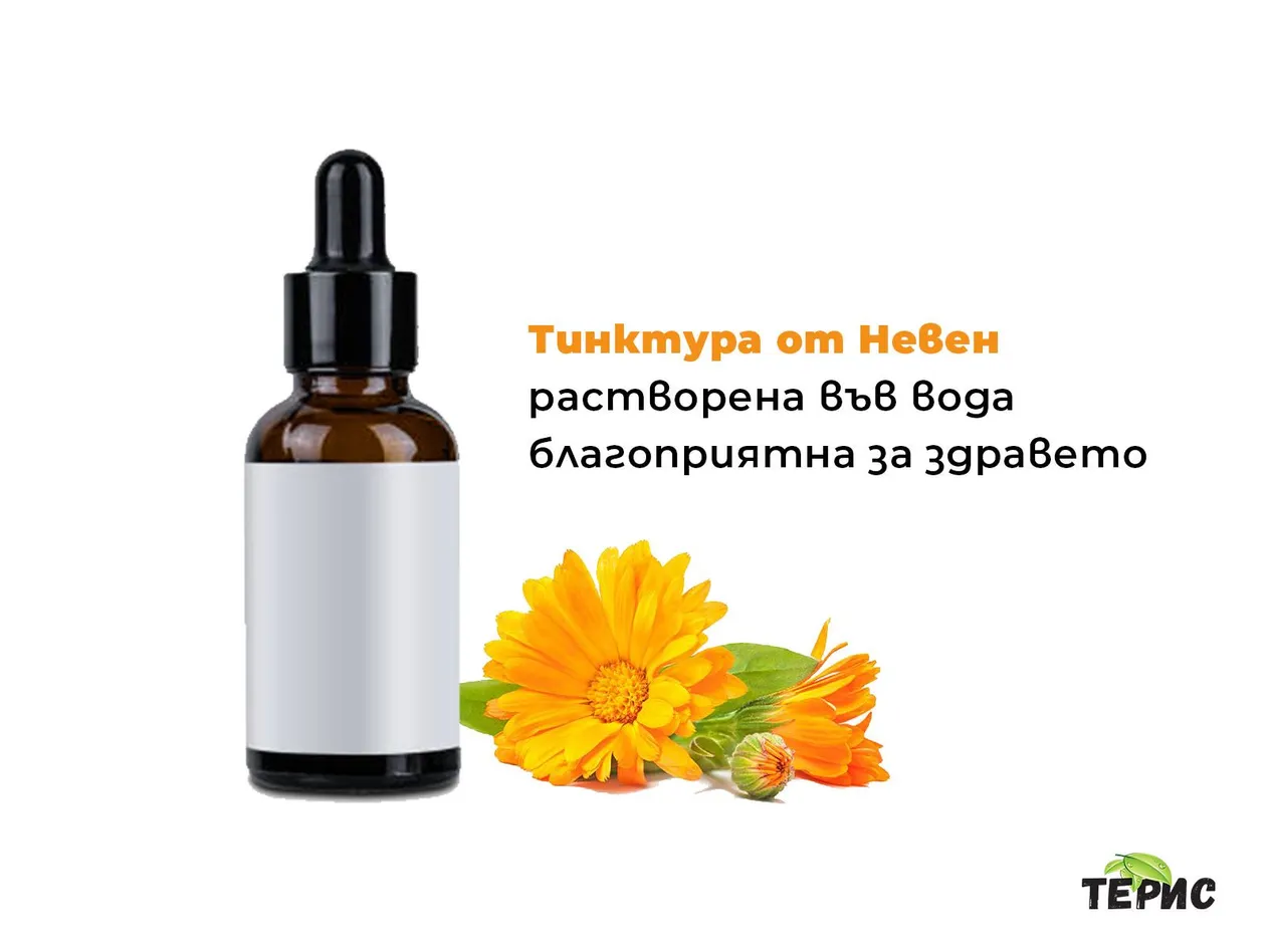 Тинктура от Невен разтворена във вода благоприятна за здравето