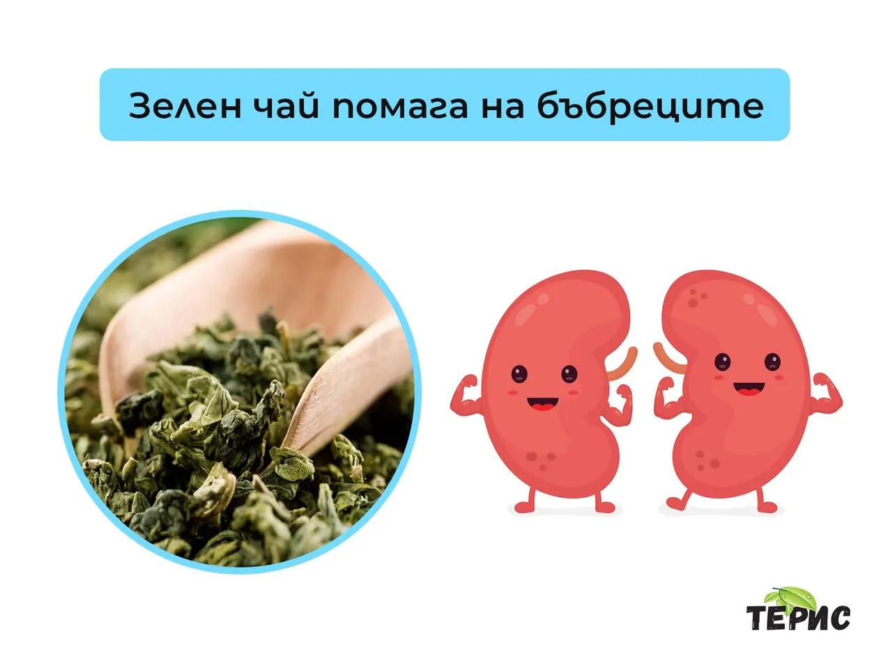 Зелен чай помага на бъбреците