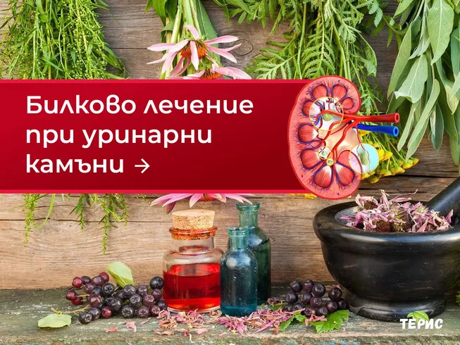 Билково лечение при уринарни камъни