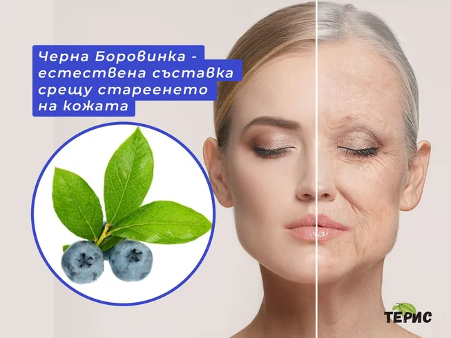 Черна Боровинка - естествена съставка срещу стареенето на кожата