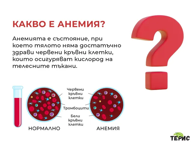 Какво е анемия?
