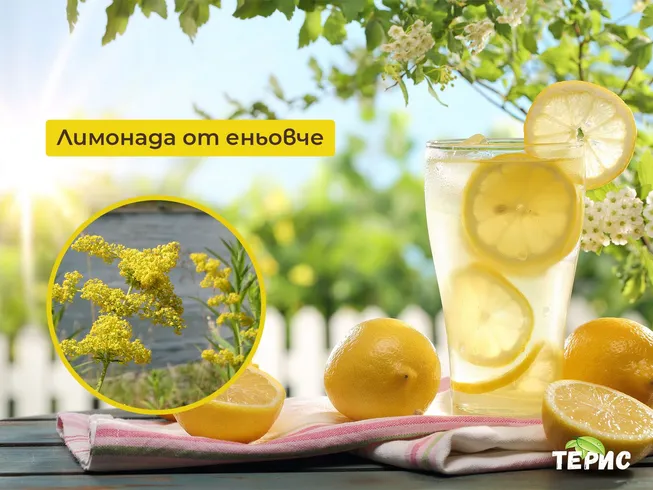 Лимонада от Еньовче