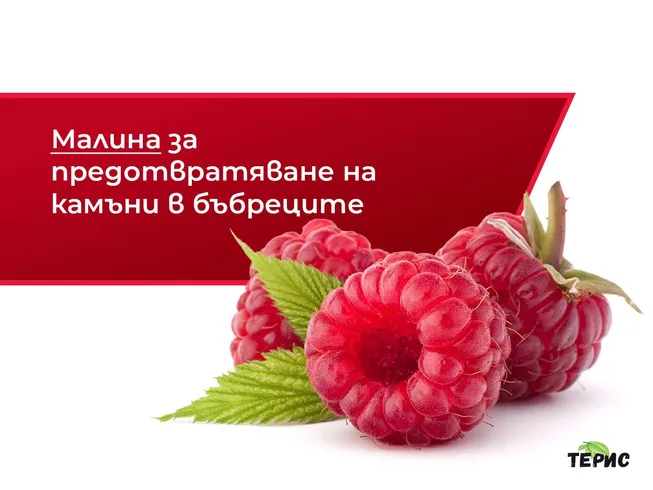 Малина за предотвратяване на камъни в бъбреците