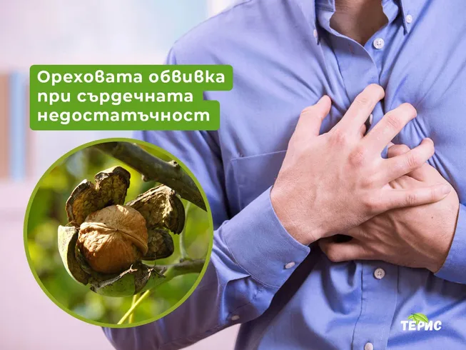 Ореховата обвивка при сърдечната недостатъчност