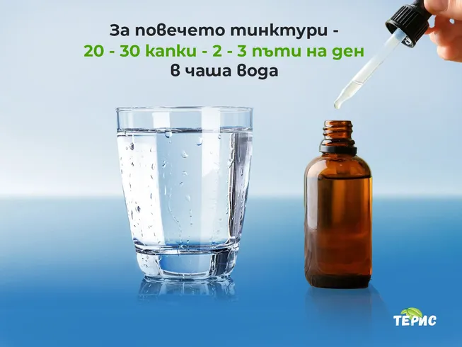 За повечето тинктури - 20 - 30 капки - 2 - 3 пъти на ден в чаша вода